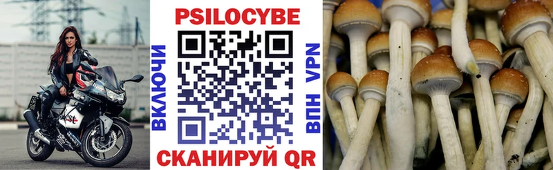 Галлюциногенные грибы MAGIC MUSHROOMS Усть-Катав